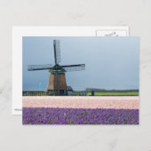 Traditionele windmolen met roze en paarse bloemen briefkaart (Voorkant / Achterkant)