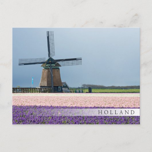Traditionele windmolen met roze en paarse bloemen briefkaart (Voorkant)