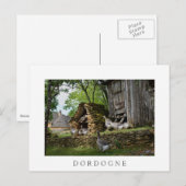 Traditionele witte boerderij van hanen met foie gr briefkaart (Voorkant / Achterkant)