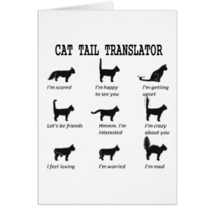 TRADUCTEUR TAIL CAT