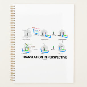 Traduction en perspective tRNA Biologie Protéine