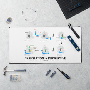 Traduction en perspective tRNA Biologie Protéine