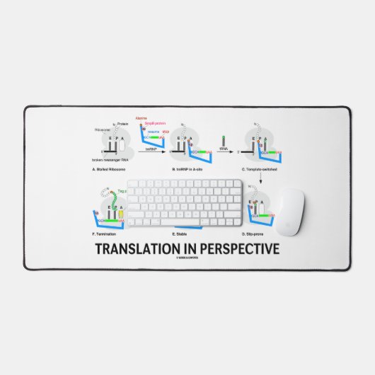 Traduction en perspective tRNA Biologie Protéine (Clavier et souris)