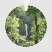 Trafalgar Falls Tropical Rainforest Photographie (dos)
