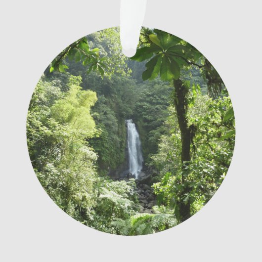 Trafalgar Falls Tropical Rainforest Photographie (devant)