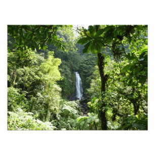 Trafalgar Falls Tropical Rainforest Photographie
