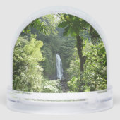 Trafalgar Falls Tropical Rainforest Photography (Arrière)