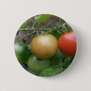 Traffic Light Tomaten Button