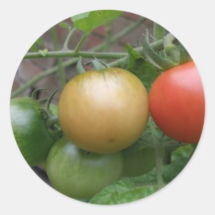 Traffic Light Tomaten Stickers