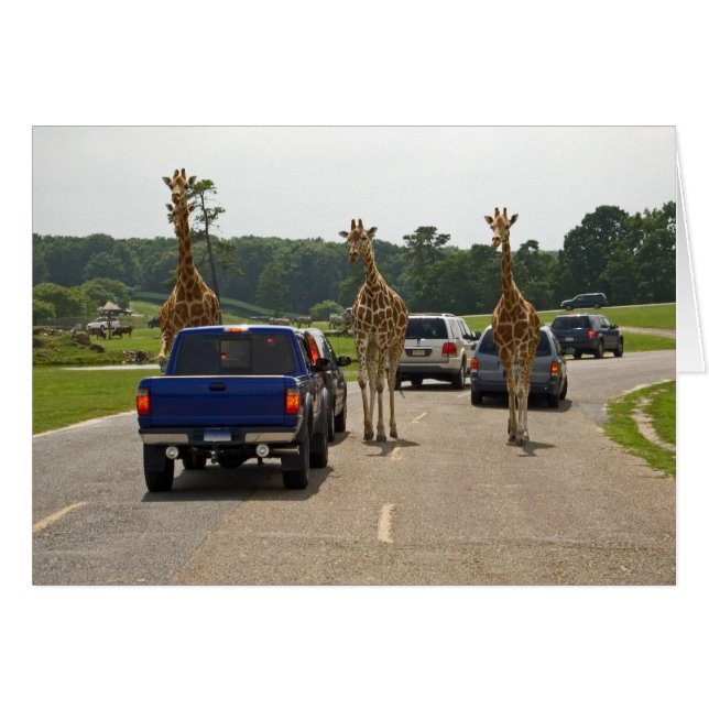 Trafic entrant (Devant horizontal)