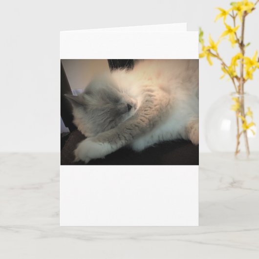 Trage dagen, kaart (Gele Bloem)