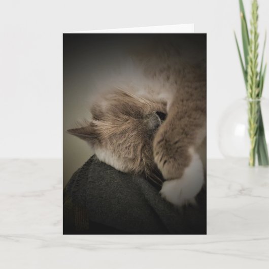 Trage dagen, kaart (Voorkant)