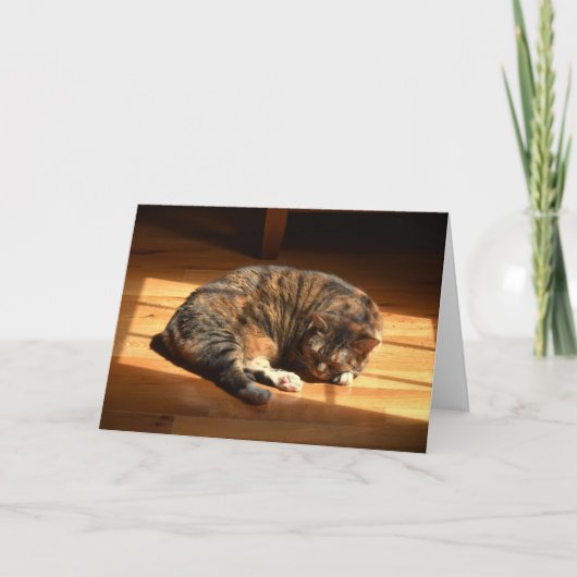 Trage dagen, kaart (Voorkant)