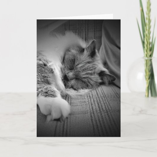 Trage dagen, kaart (Voorkant)