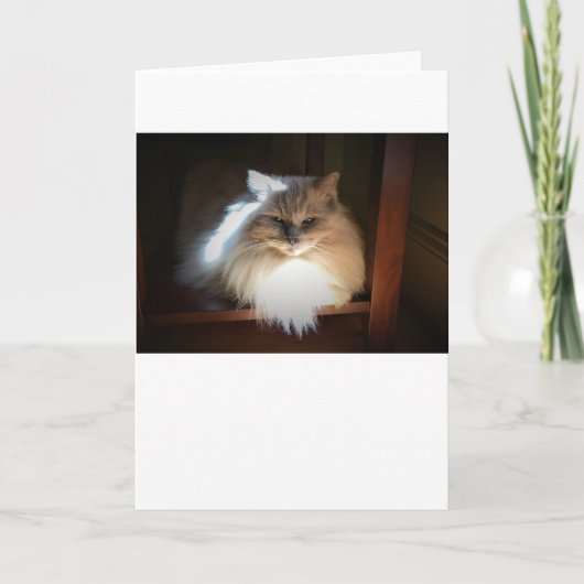 Trage dagen, kaart (Voorkant)