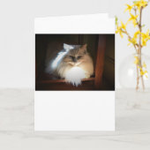 Trage dagen, kaart (Gele Bloem)