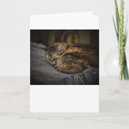 Trage dagen, kaart (Voorkant)