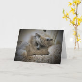 Trage dagen, kaart (Gele Bloem)