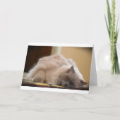 Trage dagen, kaart (Voorkant)