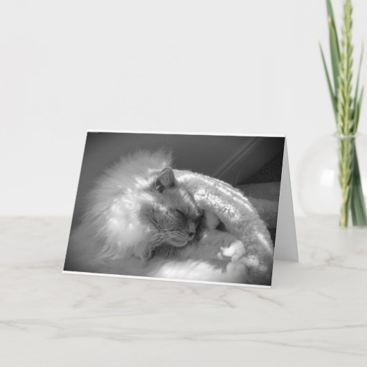 Trage dagen, kaart (Voorkant)