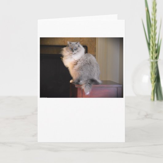 Trage dagen, kaart (Voorkant)