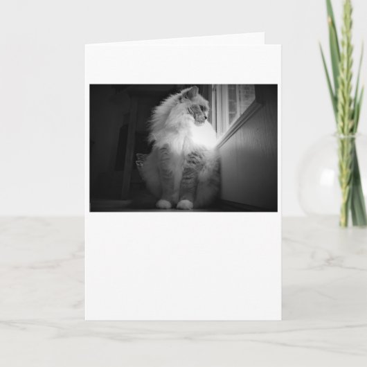 Trage dagen, kaart (Voorkant)