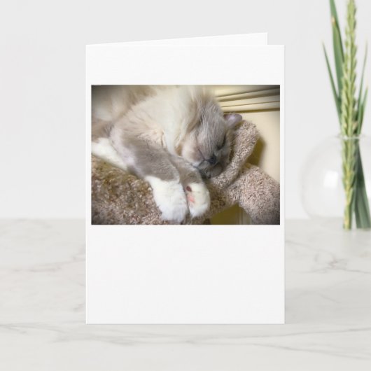 Trage dagen, kaart (Voorkant)