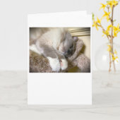 Trage dagen, kaart (Gele Bloem)