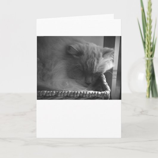 Trage dagen, kaart (Voorkant)