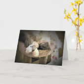 Trage dagen, kaart (Gele Bloem)