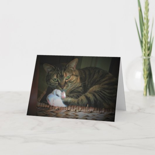 Trage dagen, kaart (Voorkant)