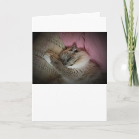 Trage dagen, kaart (Voorkant)