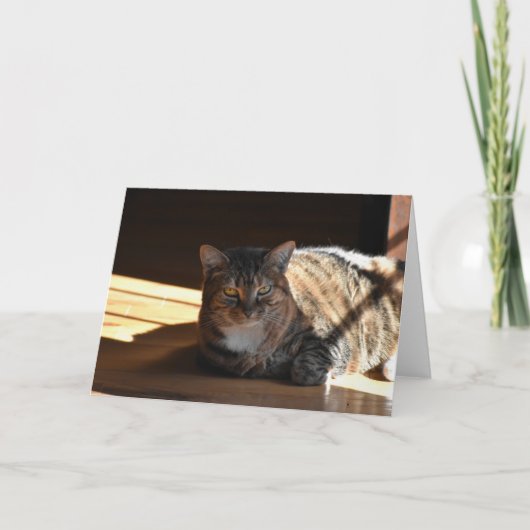 Trage dagen, kaart (Voorkant)