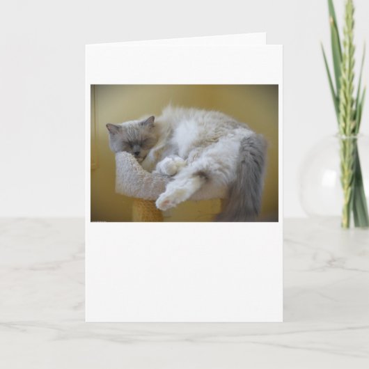 Trage dagen, kaart (Voorkant)