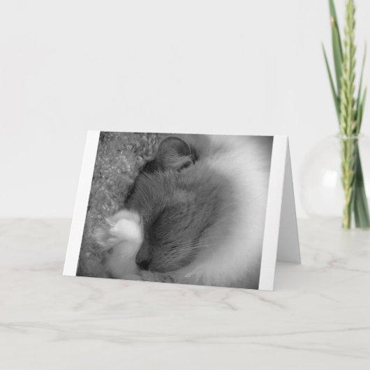 Trage dagen, kaart (Voorkant)