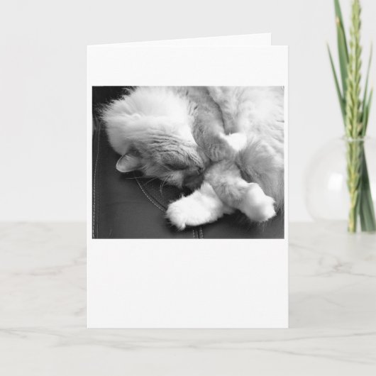 Trage dagen, kaart (Voorkant)