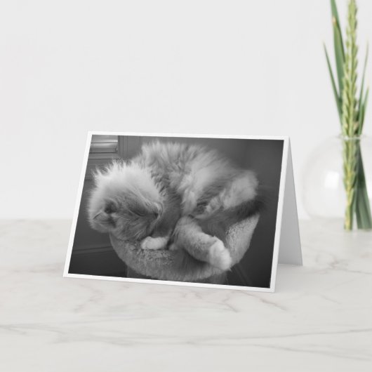 Trage dagen, kaart (Voorkant)