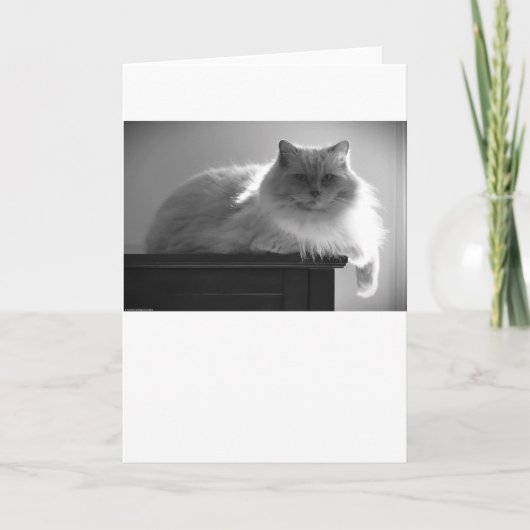 Trage dagen, kaart (Voorkant)