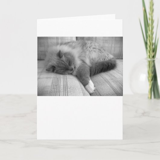 Trage dagen, kaart (Voorkant)