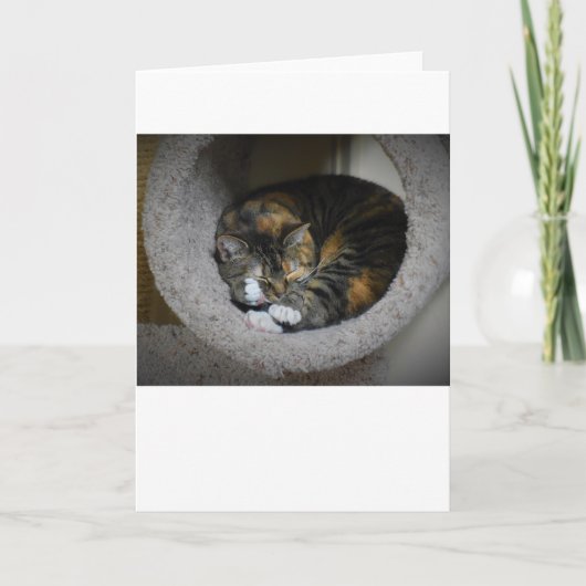 Trage dagen, kaart (Voorkant)