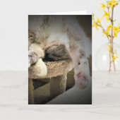 Trage dagen, kaart (Gele Bloem)