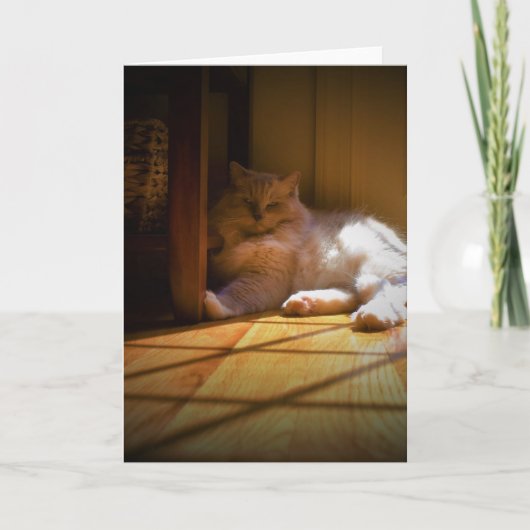 Trage dagen, kaart (Voorkant)