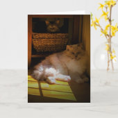 Trage dagen, kaart (Gele Bloem)