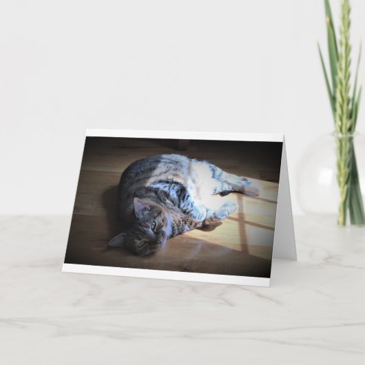 Trage dagen, kaart (Voorkant)