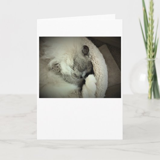 Trage dagen, kaart (Voorkant)