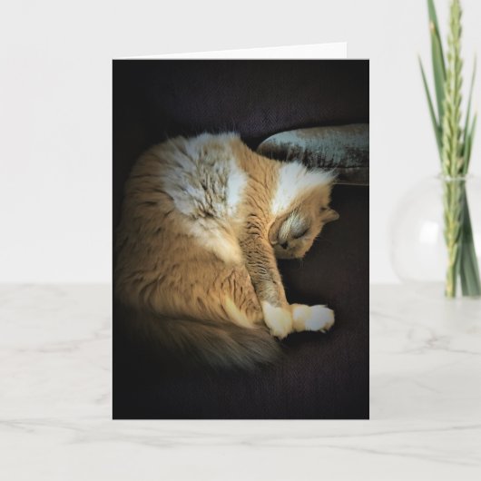 Trage dagen, kaart (Voorkant)