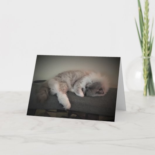 Trage dagen, kaart (Voorkant)