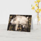 Trage dagen, kaart (Gele Bloem)