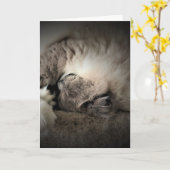 Trage dagen, kaart (Gele Bloem)