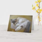 Trage dagen, kaart (Gele Bloem)